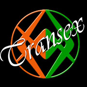 www.transexverona.it